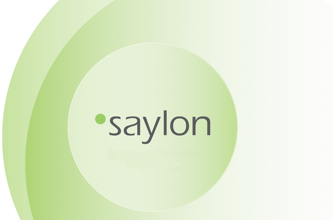 Saylon Danışmanlık